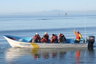 Sarpando para mirar ballenas